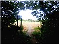 Footpath near Wadworth