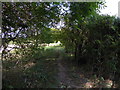 Bridleway going north to West Road