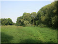 Footpath near Hampton Mill