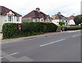 Postbox in a Tutshill hedge