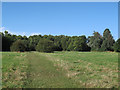 Lea Valley arboretum - meridian avenue