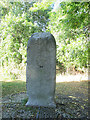 Meridian stone near Waltham Abbey