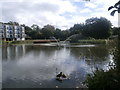 Lake at Van Mildert College