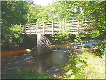 SX5178 : Footbridge Over The River Tavy by Chris Andrews