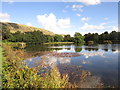 Whitefield Dam, Lennoxtown