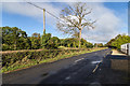 R8485 : View north west along R493 by David P Howard