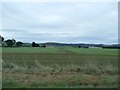 Fields near Blackburn