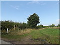 TM1386 : Back Lane footpath to Common Road by Geographer