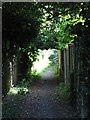 Footpath between Hodwell and Ashwell Springs