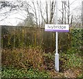 Ivybridge Station