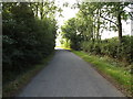 TM1388 : Pristow Green Lane, Tibenham by Geographer