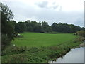 Grazing near the River Ribble