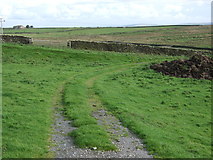SD7453 : Farm track, Anna Land End by JThomas
