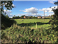 Suburban farmland, Henley Green, Coventry