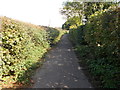 Footpath - Green Lane