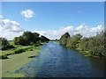SE8011 : Stainforth & Keadby Canal, west of Ealand Warpings by Christine Johnstone