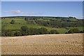 Stubble, East Gormack