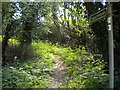 Public footpath south of Halam