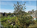 Allotments - Harlow Avenue