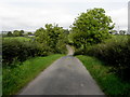 Derrynaseer Road, Drumlish