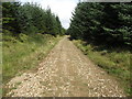 J1212 : View NNW along the Slievenatucan forestry road by Eric Jones