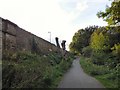 Pollarded trees by Apethorn Lane bridge