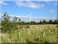 Wind turbine and Sainsbury