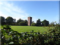 Water tower seen across field from Brantbridge Lane