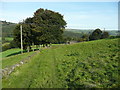 Hebden Royd FP55 (3) - grass track towards Great Scout, Mytholmroyd