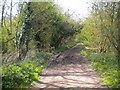 Byway off Greaves Lane west of Wood Farm