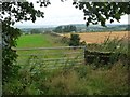 Entrance into grazing field