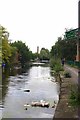 Rubbish in the Rochdale canal