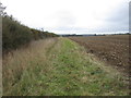 Bridleway to Leadenham