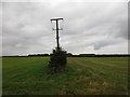 Electricity pole on Caythorpe Heath