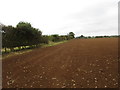 Field near Heath Farm, Fulbeck