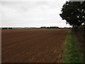 Field off South Heath Lane