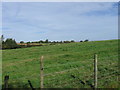 Fields looking towards Folkingham