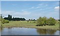 SE5938 : Farmland near Hall Garth, Kelfield by Christine Johnstone