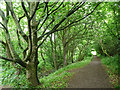 Path, Garstang