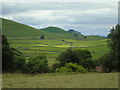 Grassington Park Estate to Elbolton