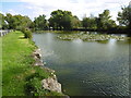 Long Pond on Totteridge Common