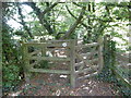 Path leading off Totteridge Common