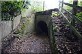 Path leading to Brockholes