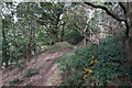 Path leading towards Newtown, Honley