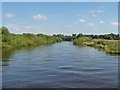 SE5942 : Allen Reach, River Ouse by Christine Johnstone