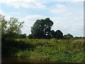 SE5942 : 2km milepost, Crabtree Reach, River Ouse by Christine Johnstone