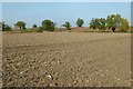 Recently ploughed fields