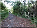 TQ2492 : Burtonhole Lane by Marathon