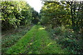 Former rail line near Dingle Bank