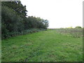 Field boundary with woodland in West Sussex